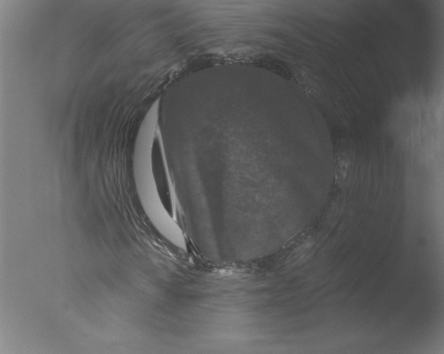 X0000076051010200610201913