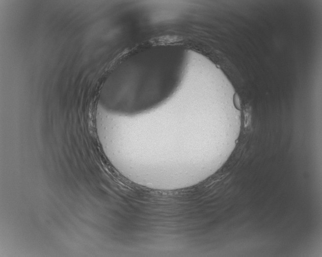 X0000076051011200610201913