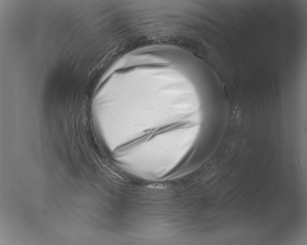 X0000076051012200610201913