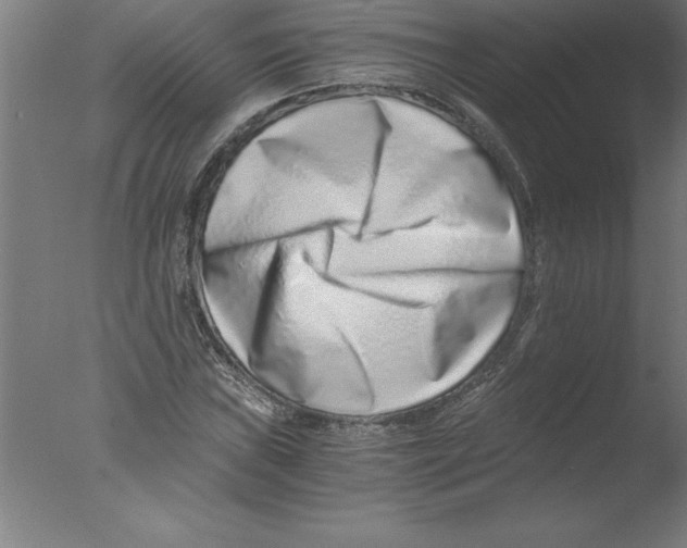 X0000076051019200610201914