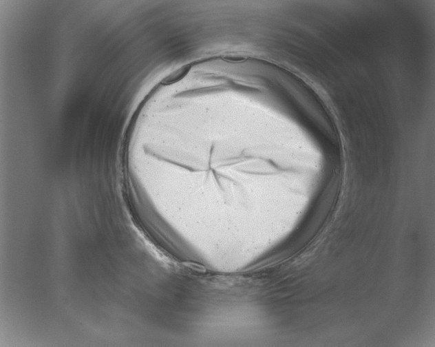 X0000076051056200610201914