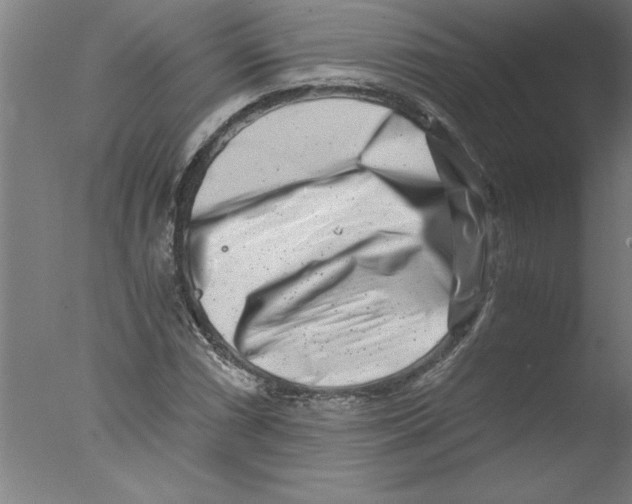 X0000076051066200610201913