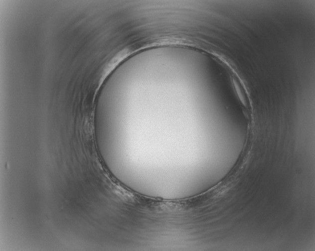 X0000076051097200610201913