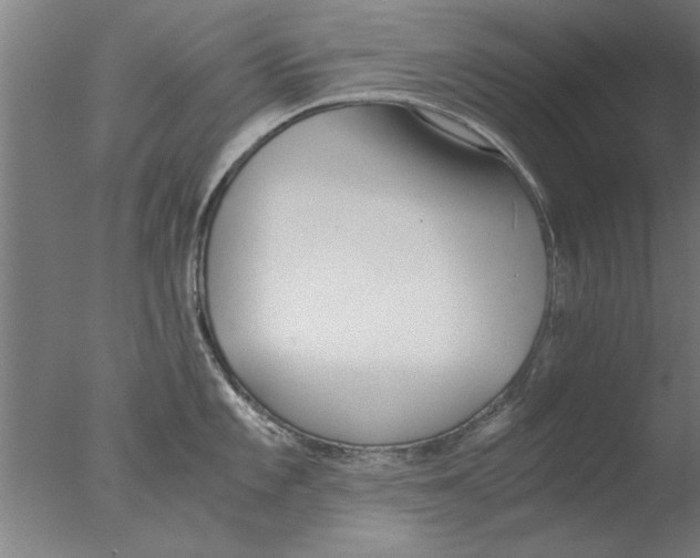X0000076051101200610201913