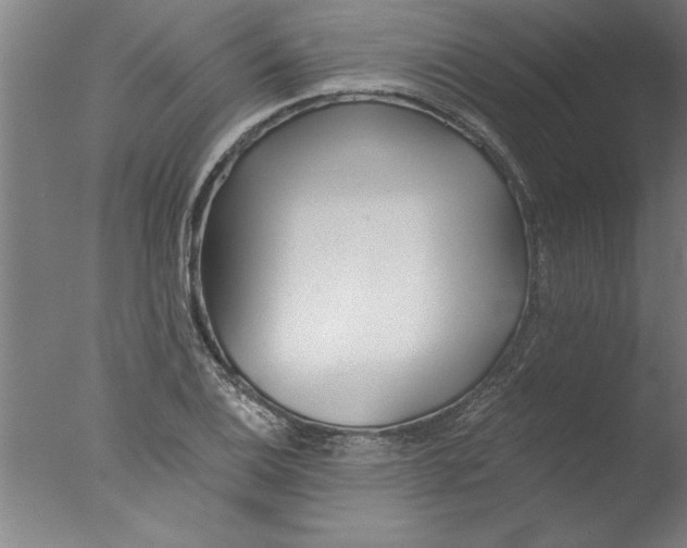 X0000076051124200610201912