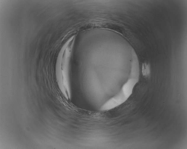 X0000076051155200610201912