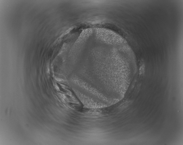 X0000076051156200610201912
