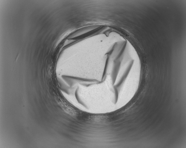 X0000076051163200610201912