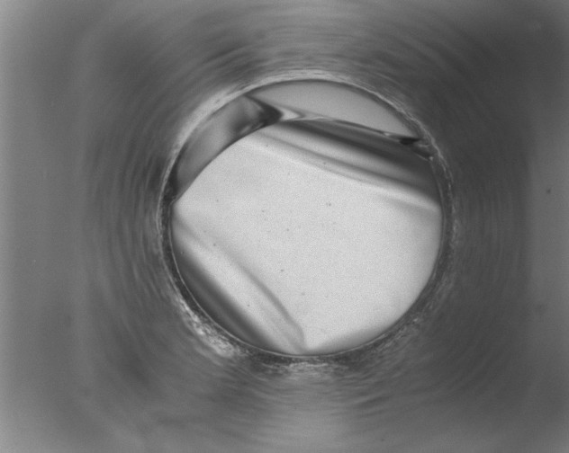 X0000076051181200610201911