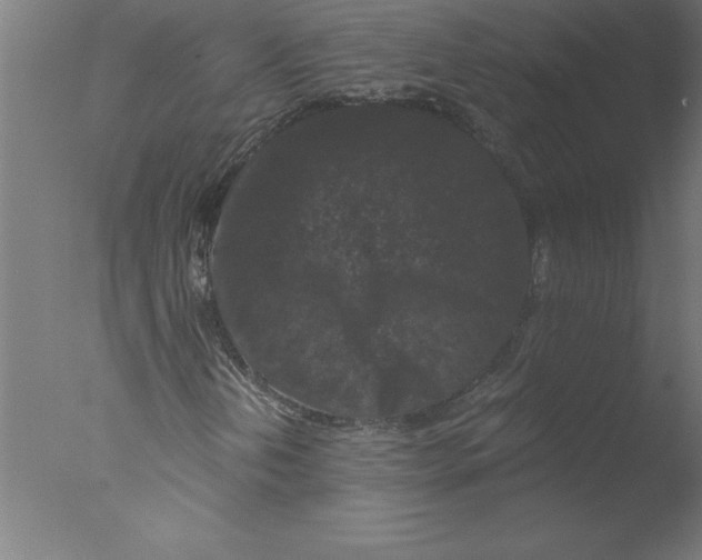 X0000076051202200610201910
