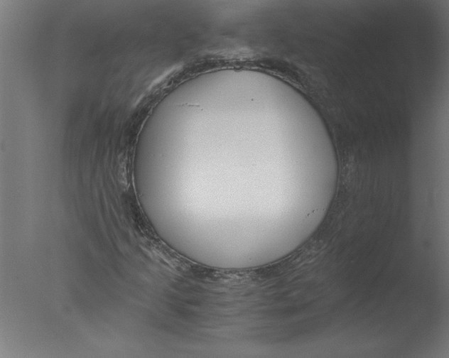 X0000076051205200610201910