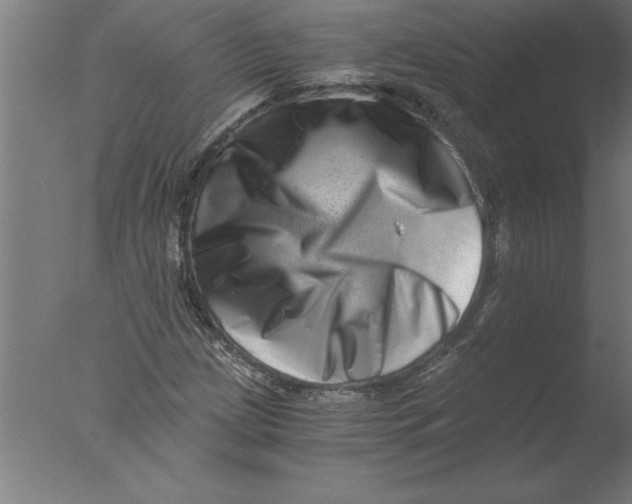 X0000076051209200610201910
