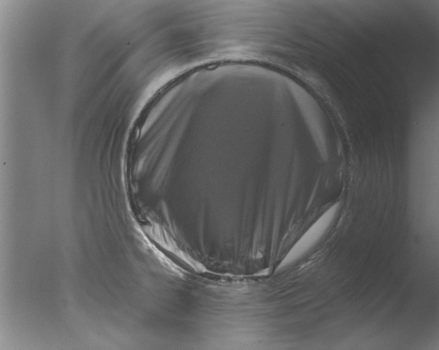 X0000076051334200610201909