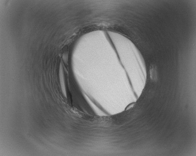X0000076051347200610201908
