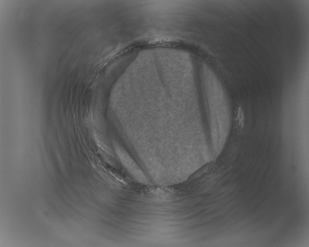 X0000076051348200610201908