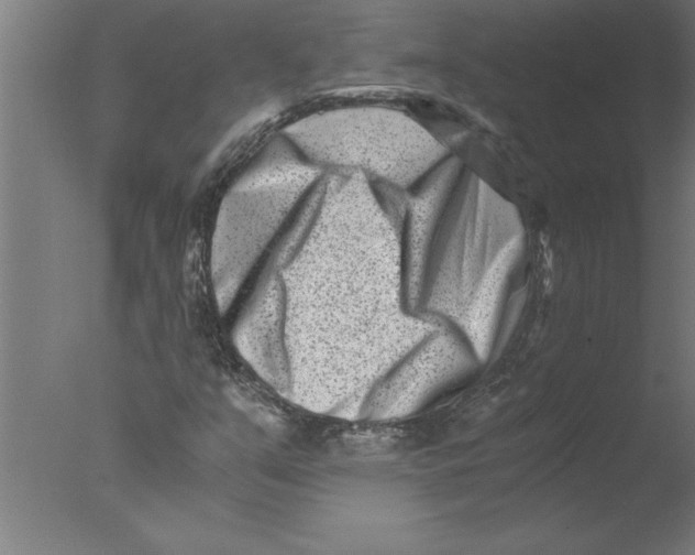 X0000076051351200610201908