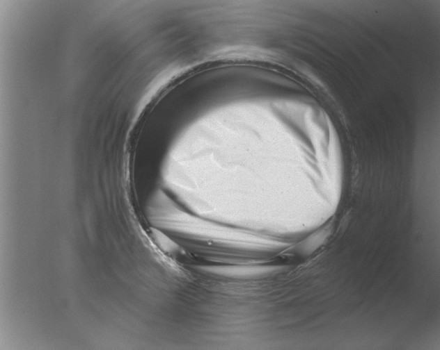 X0000076051376200610201908