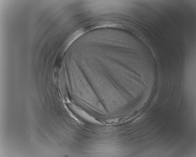 X0000076051377200610201908