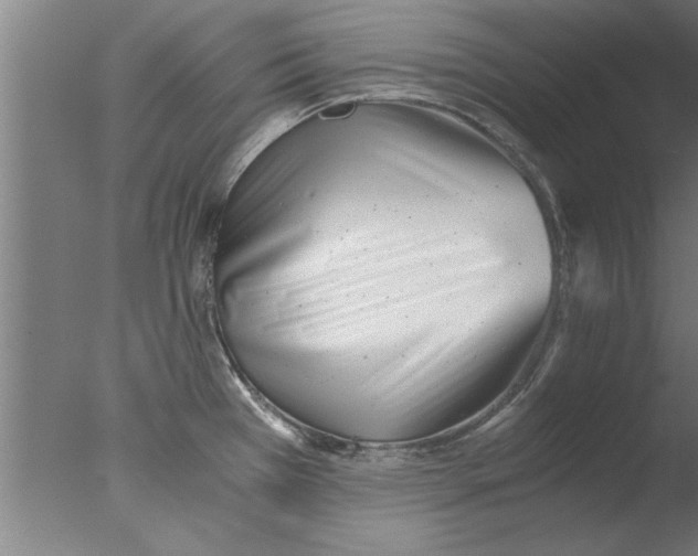 X0000076051385200610201908
