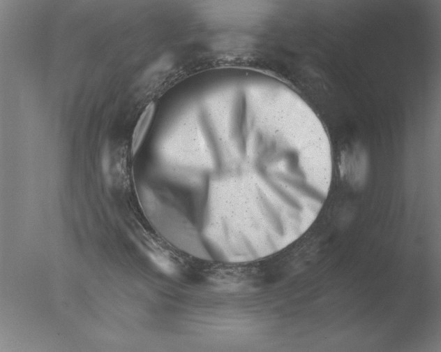 X0000076051396200610201907