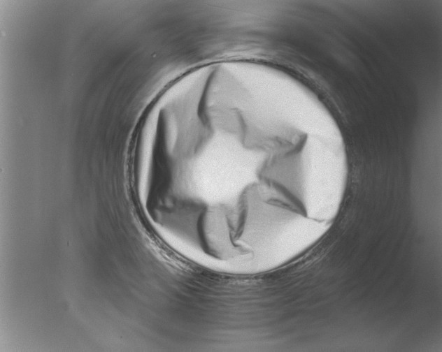 X0000076051423200610201907