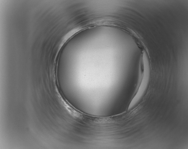 X0000076051434200610201908