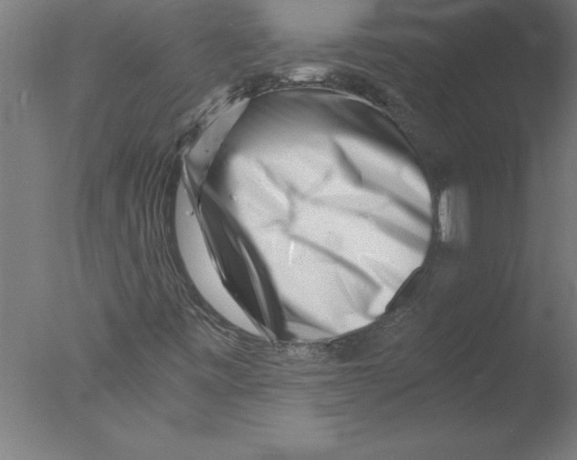 X0000076051443200610201907
