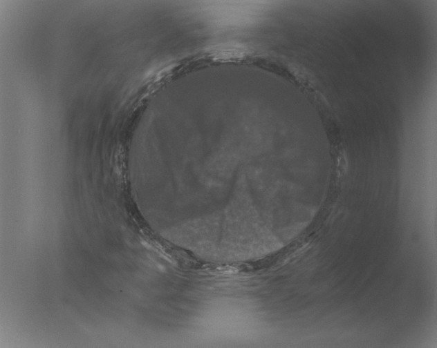 X0000076051445200610201907