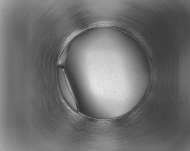X0000076051473200610201906