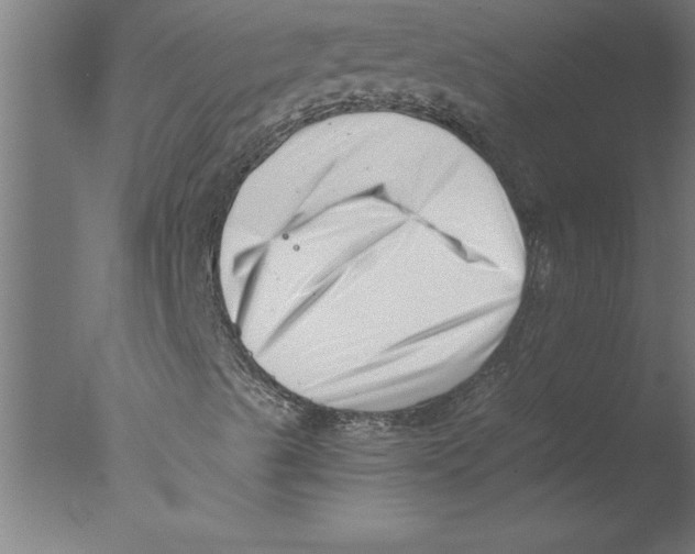 X0000076051489200610201905