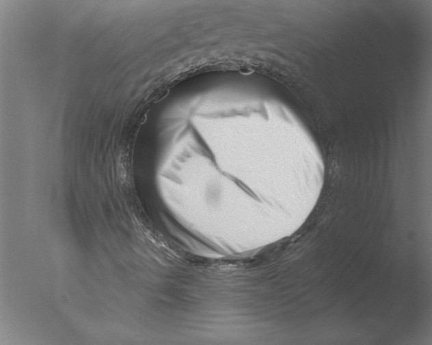 X0000076051490200610201905