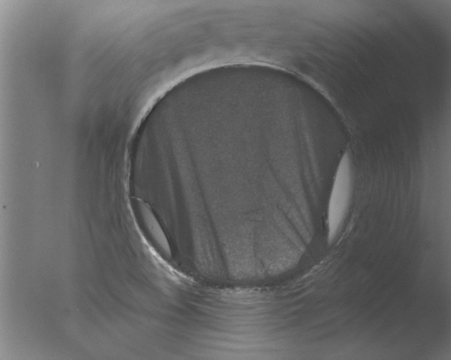 X0000076051508200610201906