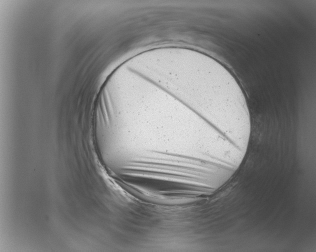 X0000076051534200610201906