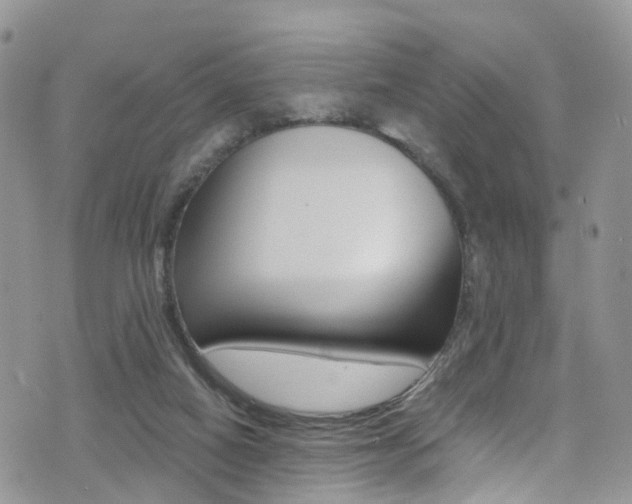 X0000076060066200609220945