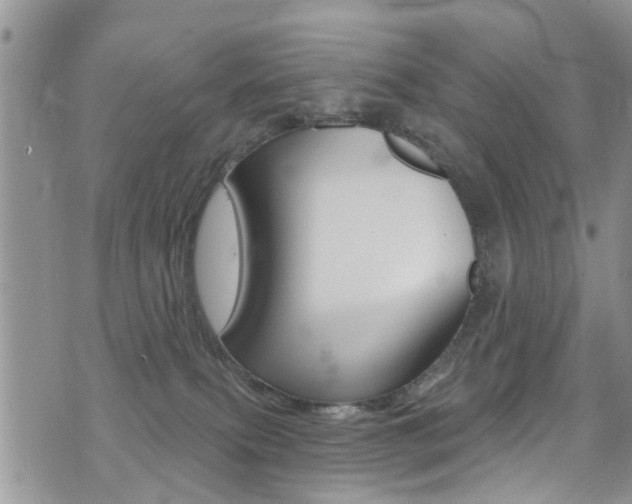 X0000076060087200609220945