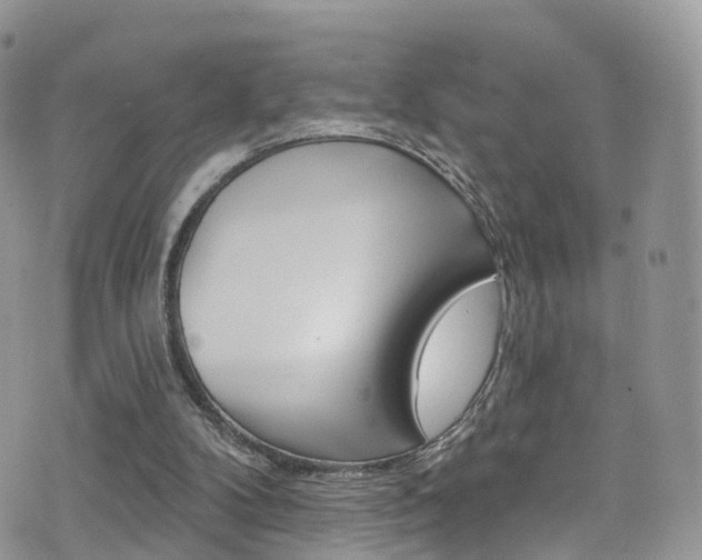 X0000076060104200609220945