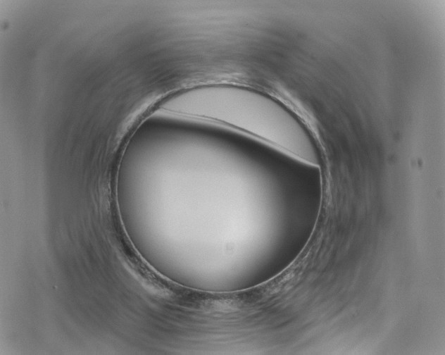 X0000076060107200609220945