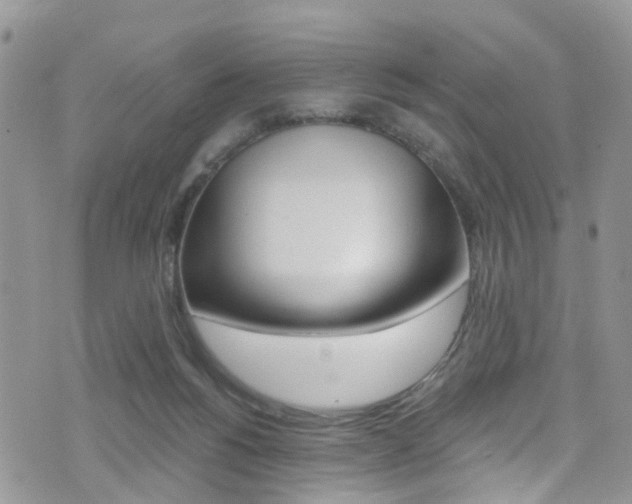 X0000076060168200609220944
