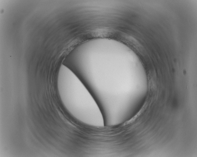 X0000076060171200609220944
