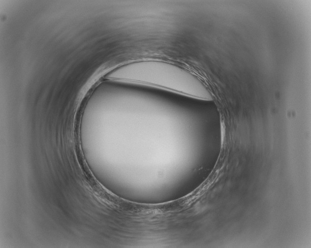X0000076060195200609220943