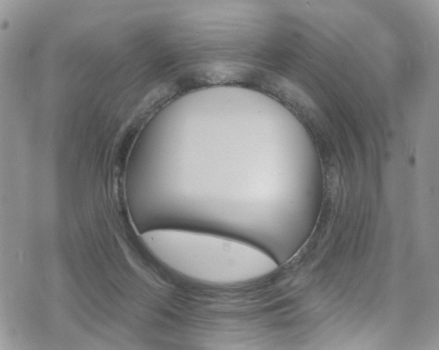 X0000076060214200609220943