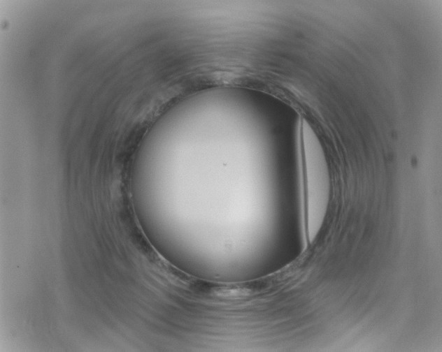 X0000076060221200609220943
