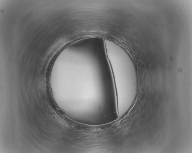 X0000076060243200609220942