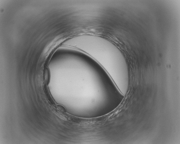 X0000076060291200609220942