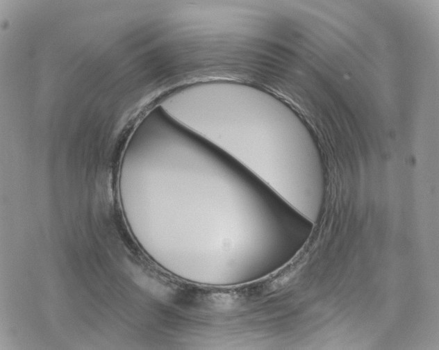 X0000076060302200609220941