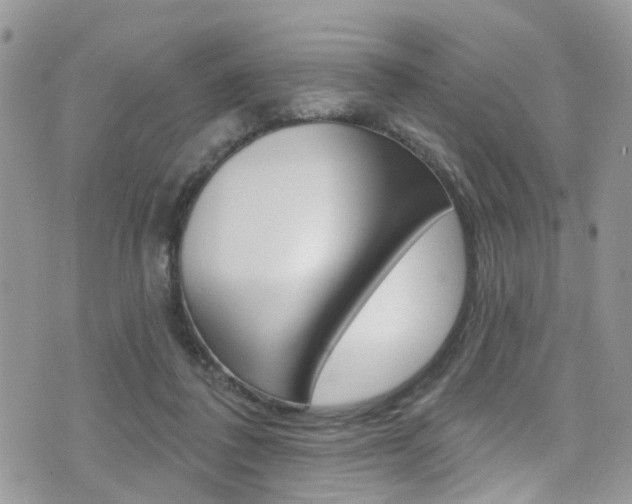 X0000076060308200609220941