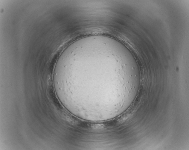 X0000076060355200609220940