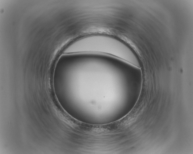 X0000076060399200609220940