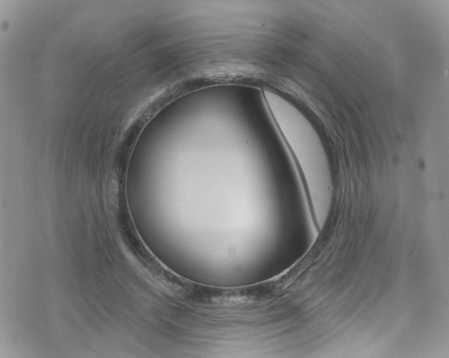 X0000076060448200609220939