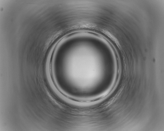 X0000076060493200609220938